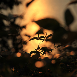 国产乱╳╳Av绿冒
